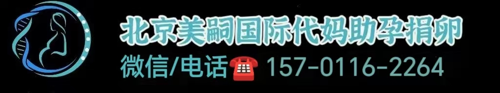 英国第一对同性恋助孕